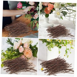 MILISTEN 1 Twig Decoration Crafts Natural Wooden Sticks Wooden Twigs Stick Natural DIY Wood Sticks Branch