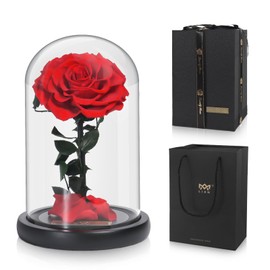 Lian Preserved Rose Roses in Glass Dome，Made from Real Fresh Beauty Rose, Preserved Roses Never Withered Romantic Gifts for Female, Valentine's Day, Mother's Day, Birthday, Anniversary, Wedding