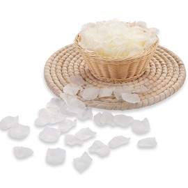 3000 PCS Silk Rose Petals Artificial Flower Petals for Romantic Night Wedding Party Flower Decoration Valentine Day (Ivory, 3000 pcs)