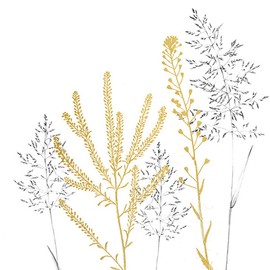 20 Napkins Subtle Grasses Meadow Nature Summer Table Decoration Decoupage 33 x 33 cm