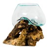 BLACK FOREST DECOR Organic Blown Glass & Root Bowl -