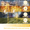 Solar Lights Outdoor Decorative Solar Wire Metal Flower Yard Stake