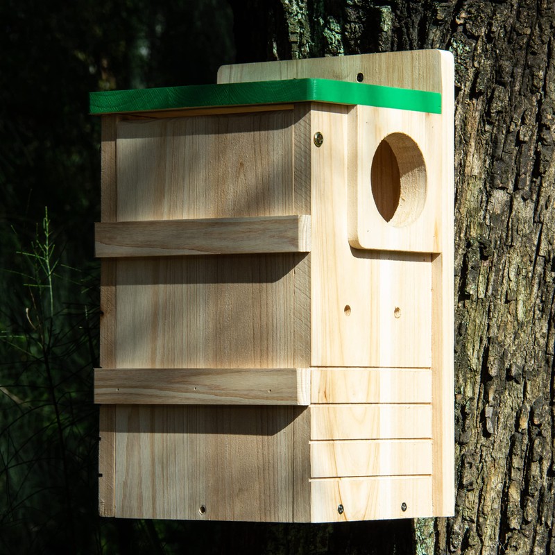 BalterFF Squirrel Houses for Outside Nesting Box Nest Wooden Chipmunk
