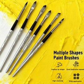 Acrylic Paint Brushes Set, 25pcs Professional Artist Series with Wide Flat, Filbert, Fan, Dagger, Cat Tongue, Round, Angle, Rigger for Oil, Acrylic, Face Painting（Color Blocking ）