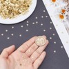 HOBBIESAY About 10000Pcs Gold Star Sequins Mini Hollow Star Sequins