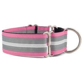 If It Barks - 1.5" Martingale Collar for Dogs - Adjustable - Nylon - Strong and Comfy - Ideal for Training - Made in USA - Small, Spunky
