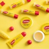 3 Hidratante Carmex Lip Balm Protetor Labial Basto Fps15kit