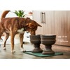 Pet Junkie Summit Single Elevated Dog Bowl Stand with Removable