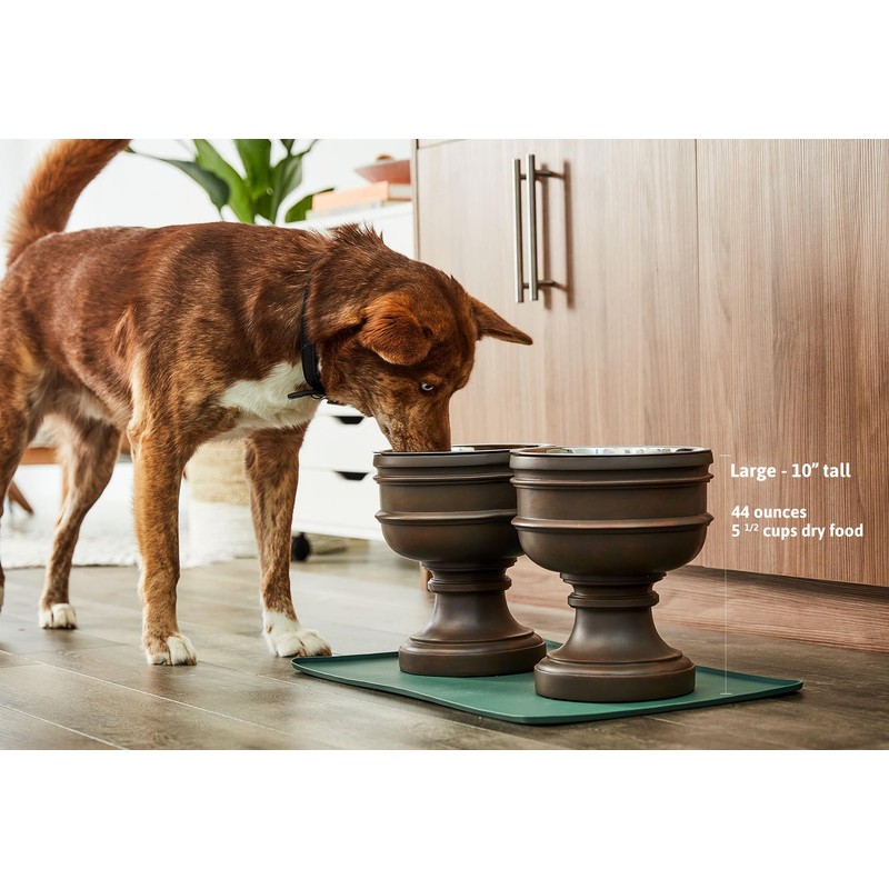 Pet Junkie Summit Single Elevated Dog Bowl Stand with Removable