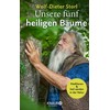 Unsere fünf heiligen Bäume: Meditieren und heil werden in der