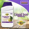 Bonide Garden Rich Liquid Iron + Micronutrients, 32 oz Concentrate