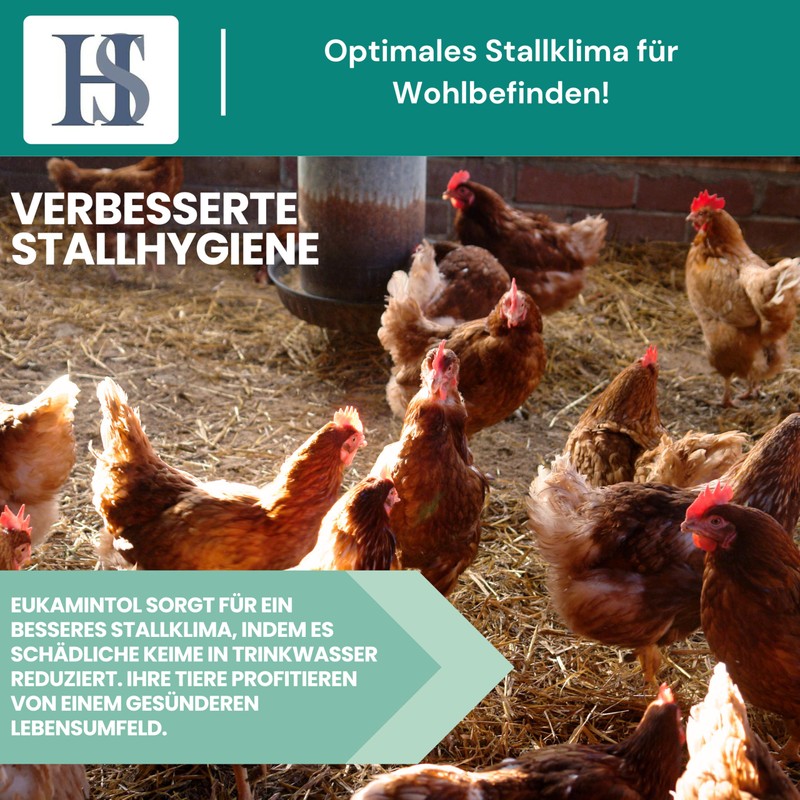 H&S EukaMintol 250 ml Drinking Water Additive Made of Essential