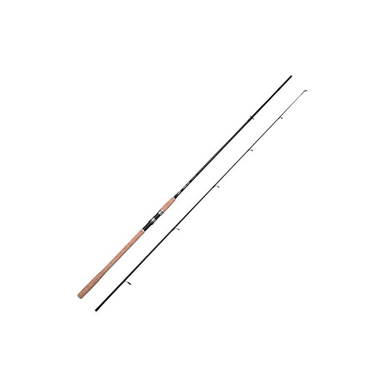 Spro Rod 2 Power Stalker 3.00 m 20-60 g Fishing