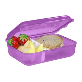Step by Step Dreamy Pegasus Shadow Purple Lunch Box with Divider and Click Closure, Dishwasher Safe, BPA-Free, for School and Nursery, 0.9 L