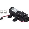 Delavan 2200-201 PowerFlo 12V Demand Diaphragm Pump with 2 Hose