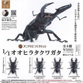 Animarie Collection 1/1 Oohirata Stag x 4 Types Set, Full Comp Toy, Capsule Toy