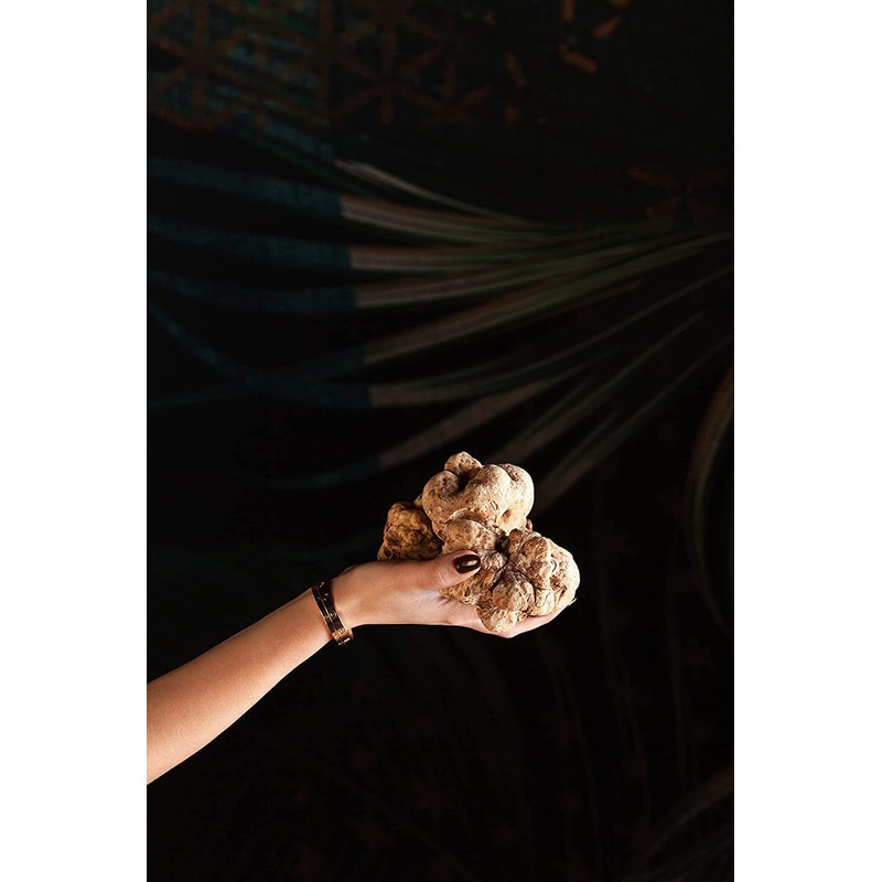 La Rustichella - White Truffle Pate - Large ( 280