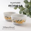 Mino Pottery Mino Pottery Plantaree - 105 Pack Bowls, Set