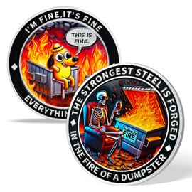AtSKnSK Fire Memento Mori Challenge Coin Humorous Inspiration Coin with This is Fine Dog and Skeleton Toasting to Resilience (One Piece)