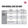 Wilson A200 Series 10-Inch Tee Ball guante (mano derecha Throw),