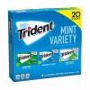 Trident Mint Variety 20 Count Sugar-Free Gum 20 14-stick Pack