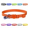 Vibrant Soft Nylon Kitten/Cat Collar with Bell and Safety Release