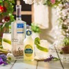 Fentimans - Victorian Lemonade - 275ml (Case of 12)