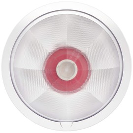 Casual Color (CP) gorigori Ball 21 cm