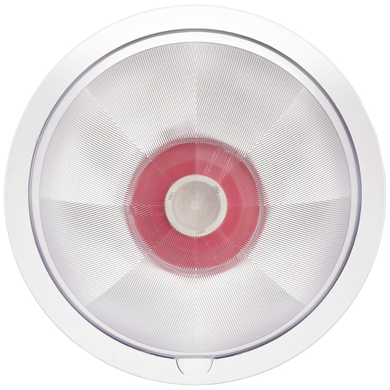 Casual Color (CP) gorigori Ball 21 cm