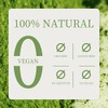 Chaism Organic Ceremonial Grade Matcha Packets - 20 Servings