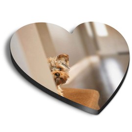 1 x Heart MDF Magnets - Cute Yorkshire Terrier Dog Puppy 44822