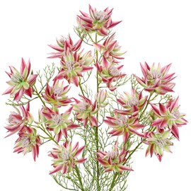 Hollyone 3Pcs Pink Artificial Flowers Silk 26.3" Fake Protea Flower with Long Stem Faux Flowers Arrangement Branch with 6 Heads for DIY Wedding Party Centerpiece Floral Bouquets Table Home Decor