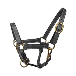 Equitem Foal Size Leather Halter with Brass Hardware (Black)