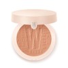 WYCON Cosmetics Lavish Suede Compact Soil with Fine Texture and