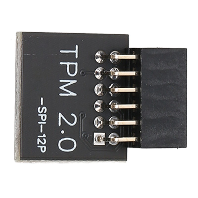 TPM2.0 Encryption Security Module for GIGABYTE Mainboard SPI 12Pin Security