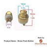 Adonai Hardware Parshandatha Decorative Brass Bell Push or Door Bell