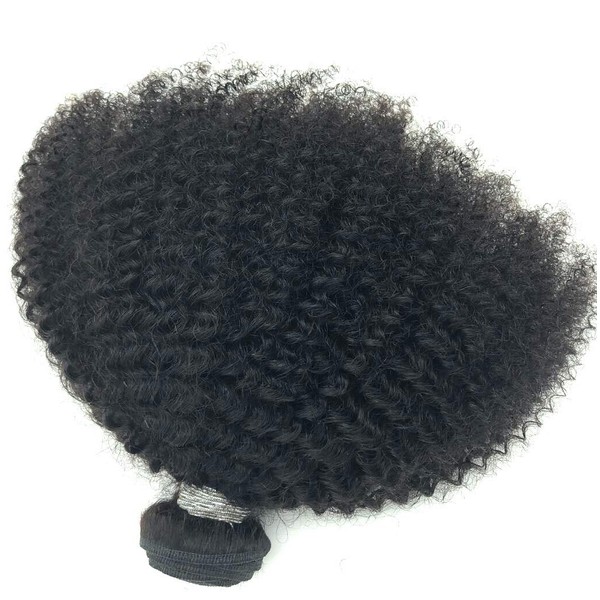 Brazilian Afro Kinky Curly Hair 8-22 Inch 4B4C 1 Bundle 100g Brazilian Virgin Remy Human Hair Weaves Natural Black Colour (1 Bundle 10 inch, Natural Black)