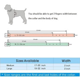 Serijoars 2" Width Leather Dog Collar, Spiked Studded Dog Collar Heavy Duty Dog Collar Adjustable for Medium Large Dogs (L, White)