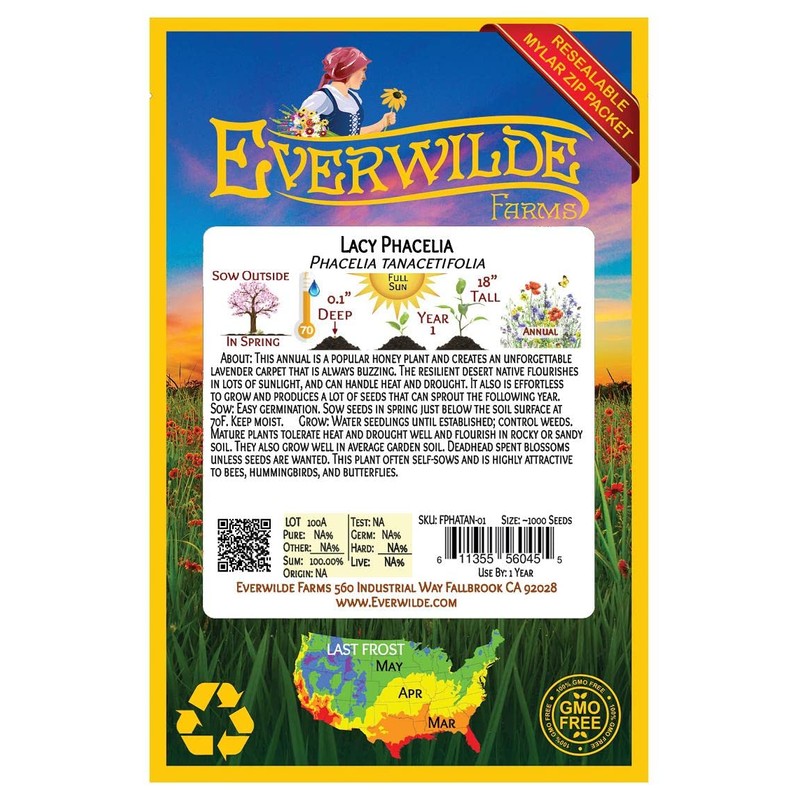Everwilde Farms - 1000 Lacy Phacelia Native Wildflower Seeds -