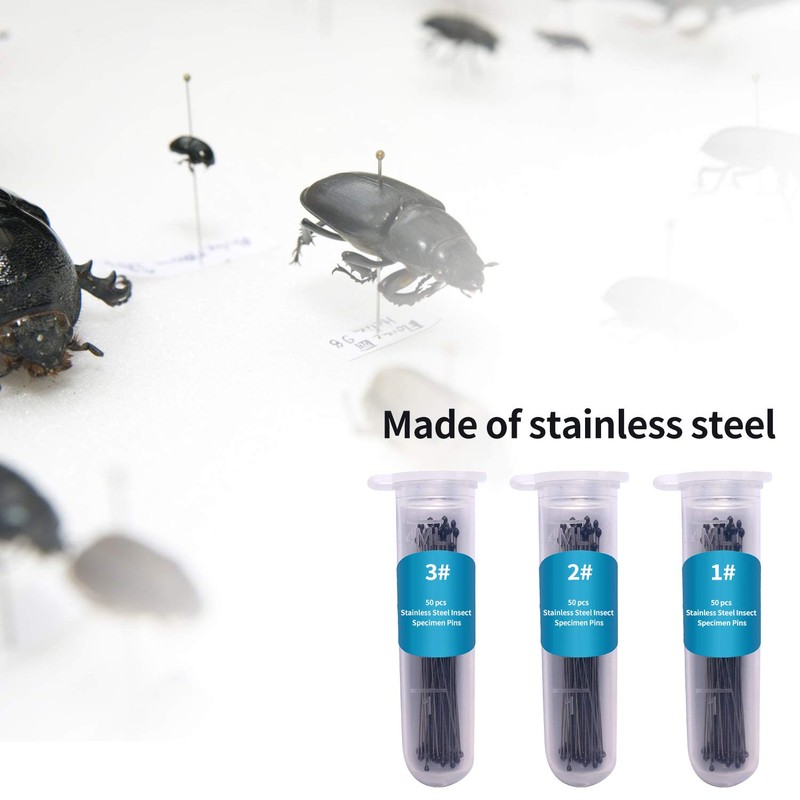 Fpxnb 350 Pcs Stainless Steel Insect Pins in 7 Sizes,