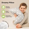 2-Pack Toddler Pillow - Soft Organic Cotton Toddler Pillows for