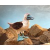 Folkmanis Blue-Footed Booby Hand Puppet