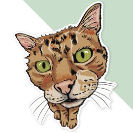 Extra Large 460mm 'Ginger Tabby Cat with Green Eyes' Permanent Sticker Decal for Cars/Windows/Bins/Walls (DW00139735)