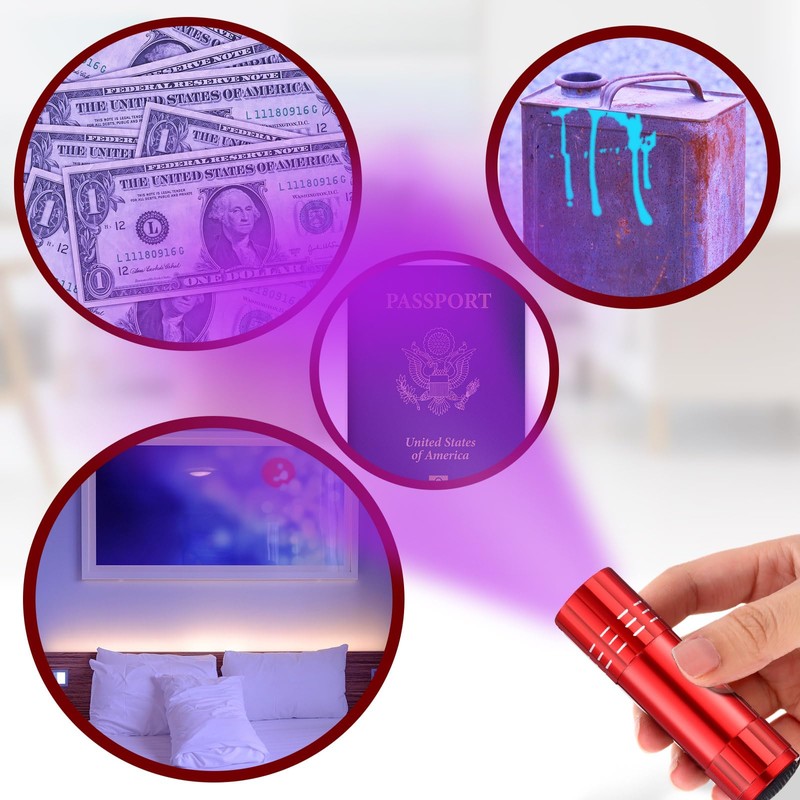 Riakrum 12 Pieces Blacklight Flashlights LED UV Handheld Mini Black