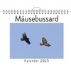 Mäusebussard - (Wandkalender 2025, Kalender DIN A4 quer, Monatskalender im