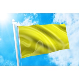 DMSE Solid Yellow Blank Flag 3X5 Ft Foot Flag UV Resistant (3x5 Polyester, Yellow)