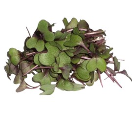 Fresh Origins-Micro Greens, Red Cabbage, 16 oz (4 packs of 4 oz each), Deep Purple Stems, Strong Cabbage Flavor