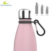 Daikoku Stainless Steel Bottle + Adjustable Strap + Carabiner, BPA