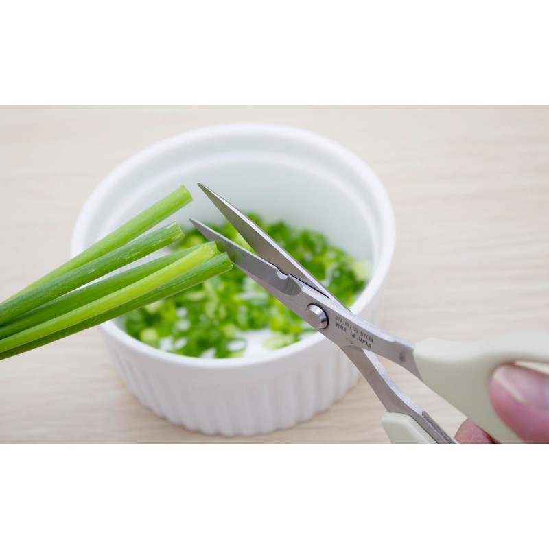 Kitchen Scissors, Made in Japan, Small, Mini Stainless Cod Roe,