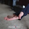Equine Exceed Cool Bites™ - 10 Bites - Calming Treats